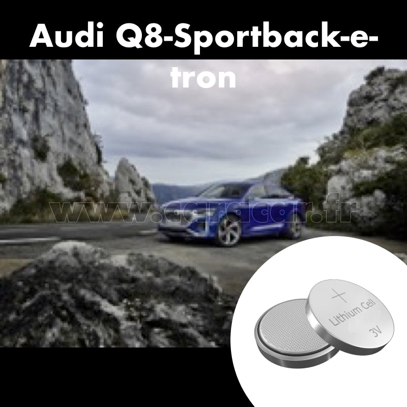 Pile clé Audi Q8 Sportback e-tron 1 generation (2022/2023). Pile de remplacement pour clé de voiture. Batterie de clé de voiture. 
